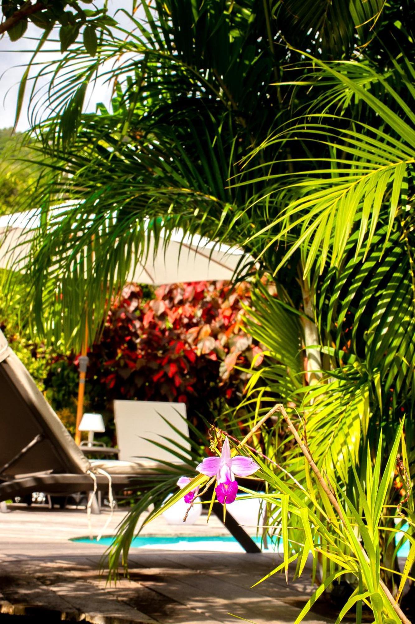 La Villa Baie Du Marin Le Marin Luaran gambar